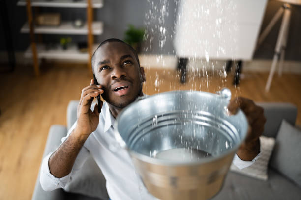 Best Residential water damage restoration  in Carlyle, IL