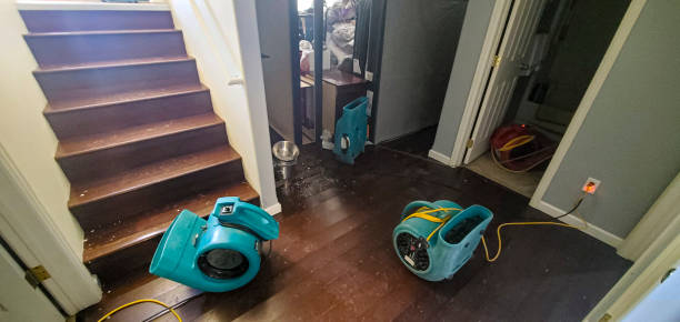 Best Sewage cleanup and water damage restoration  in Carlyle, IL