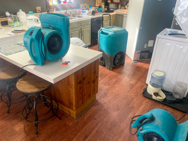 Best Water damage cleanup near me  in Carlyle, IL