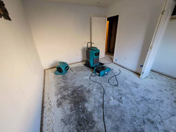 Best Flood restoration services  in Carlyle, IL