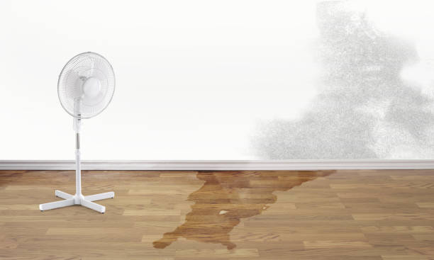 Best 24/7 water damage repair  in Carlyle, IL
