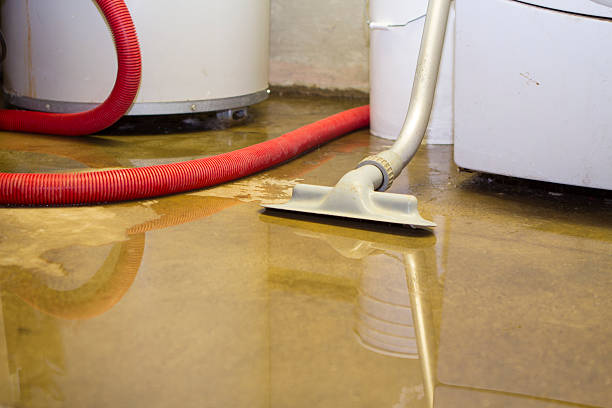  Carlyle, IL Water damage restoration Pros