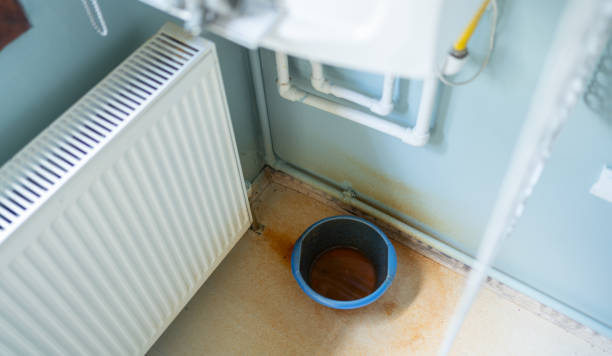Best Mold removal after water damage  in Carlyle, IL