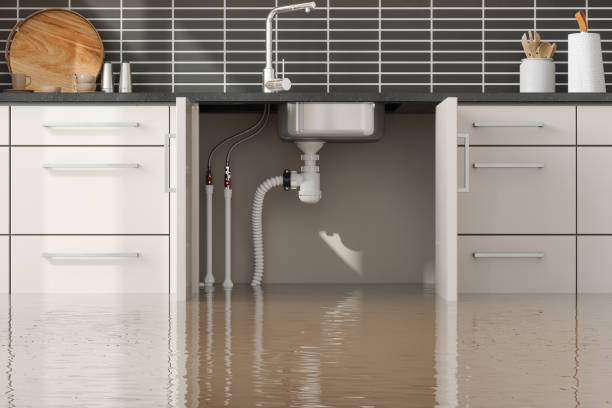 Best Basement water damage restoration  in Carlyle, IL
