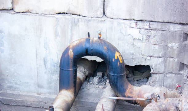Best Flooded house restoration  in Carlyle, IL