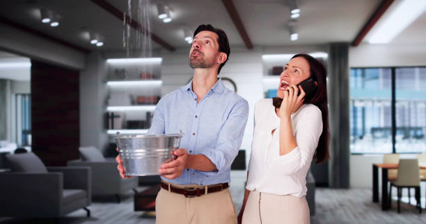 Best 24-hour water damage restoration  in Carlyle, IL