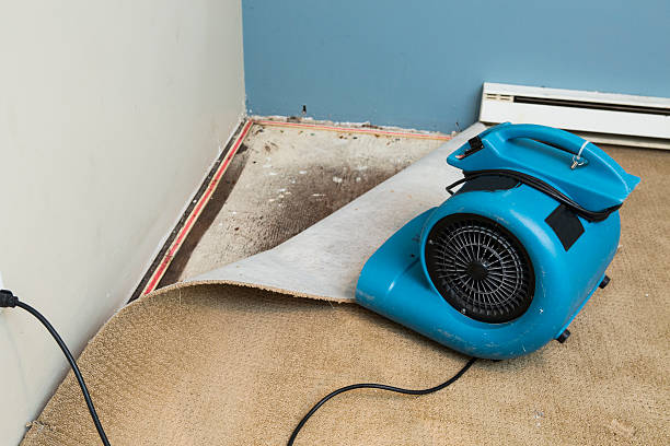 Best Water damage restoration near me  in Carlyle, IL