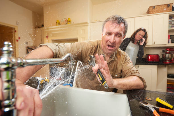 Best Professional water damage repair  in Carlyle, IL